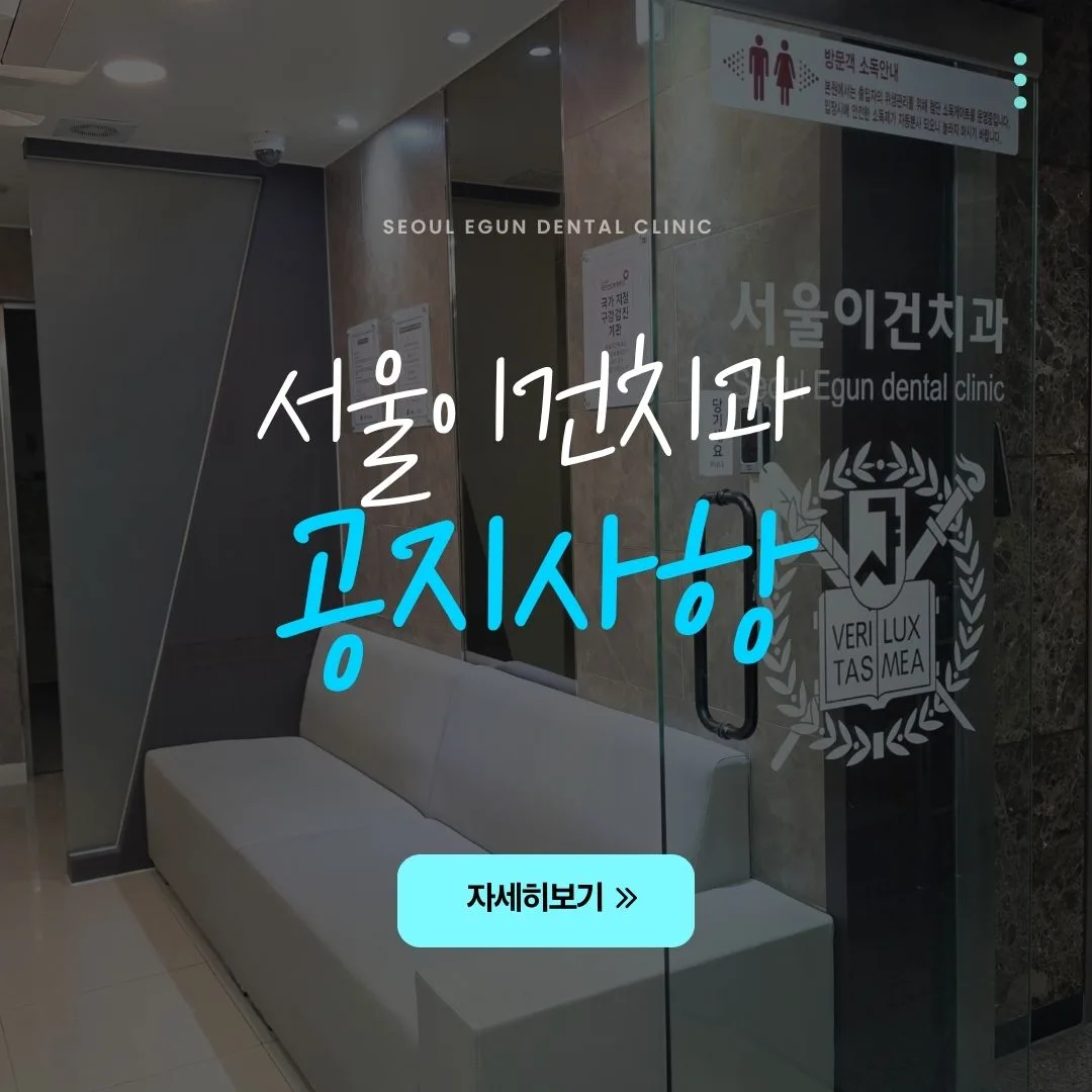 공지사항